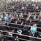 ویدیو|خروج بیش از ۱۲۵هزار زائر اربعین از مرز مهران در ۲۴ ساعت گذشته
