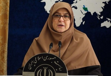 انتقاد سخنگوی دولت از قیمت پایین سوخت هواپیما

