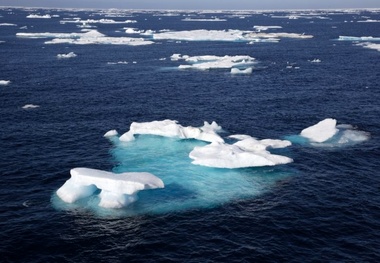 Climate Change Hitting Top U.S. Fishery in the Arctic, NOAA Report Says
