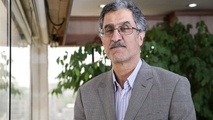 دولت برای ارز چاره‌اندیشی کند