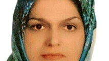 یک وسیله نقلیه موتوری از هفت دولت آزاد