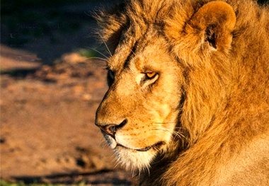 Africa, 2nd fastest growing tourism region in the world