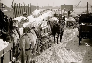 ۱۳۵ سال پیش؛ مرگبارترین طوفان‌ زمستانی در تاریخ آمریکا 