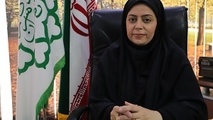 سامانه اینترنتی تاکسیرانی تهران هفته آینده رونمایی می شود