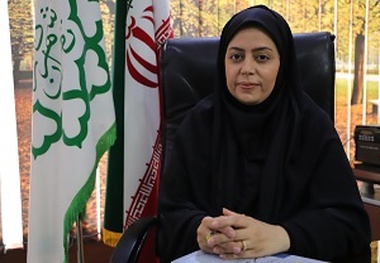 سامانه اینترنتی تاکسیرانی تهران هفته آینده رونمایی می شود