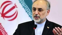 جمهوری اسلامی باید کاری کند که در افکار عمومی جهان بحث فلسطین تبدیل به نزاع اسرائیلی - ایرانی نشود بلکه این یک جدال بین رژیم صهیونیستی اشغالگر با فلسطینیان صاحب حق است