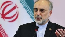 آمریکا می‌خواهد برجام را از درون عقیم کند