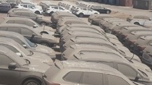 هیچ شرکتی واجد شرایط واردات خودرو نیست