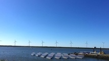 The Netherlands to release its largest floating solar farm
