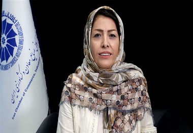 مشکلات بیمه سبز ما را به ناوگان خارجی وابسته می کند