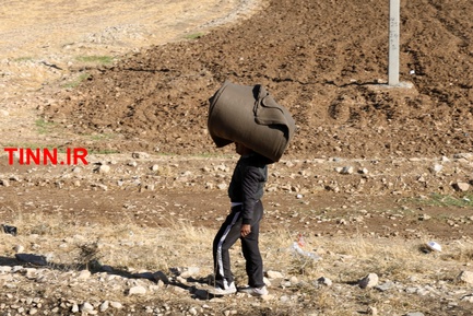 گزارش تصویری