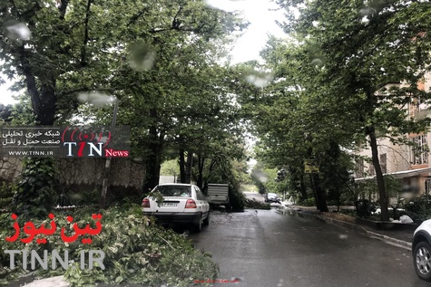 (تصاویر) برف بهاری کرج را سفیدپوش کرد