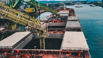 Diana Shipping Secures Work for Kamsarmax Bulker