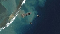Mauritius Oil Clean-up Turns Focus From Ship To Shore