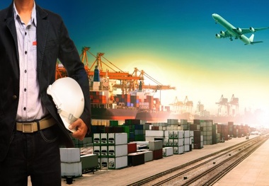 Turkish Cargo continues performing successful horse transportations
