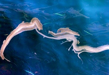Port of Gibraltar deals with ‘small’ oil spill