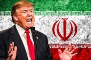 تبلور نظریه حماقت سازمانی در رفتار ترامپ