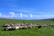 استفاده از ظرفیت معادن برای توسعه راه های چالدران؛ پروژه های عمرانی با سرعت بیشتری پیش می روند