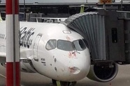 Bird Aviation Adds Second MRO Hangar In Cyprus 