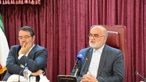 در جلسه انتقادی سازمان بازرسی با خودروسازان چه گذشت؟