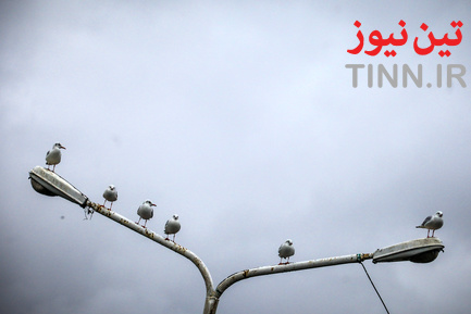بندر انزلی