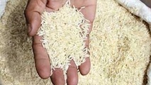  تصمیمات اشتباه دولت بازار برنج را به قحطی رساند/ بعد از بحران برنج منتظر بحران روغن باشید/ دولتمردانی داریم که حتی جمع و تفریق ساده بودجه کالاهای اساسی را بلد نیستند!