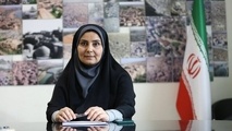 وزیر راه و شهرسازی، پای کار است و حمایت اعضای کمیسیون برنامه و بودجه را دارد 
