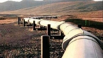 صادرات مجانی به ترکیه نداریم 