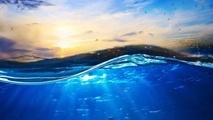 UN takes steps to protect high seas