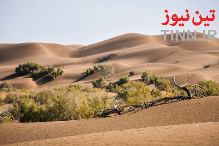 ریگ جن