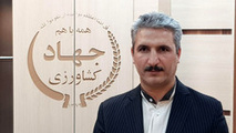 تولید 14هزار تن گلابی از باغات شهرستان قزوین 