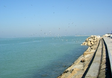 یک کلام؛ آب خزر منتقل نمی‎شود