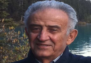 شناختن سر و ته فیل