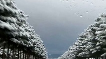 بارش برف و باران در محورهای چند استان
