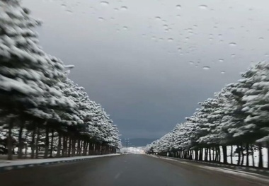 بارش برف و باران در محورهای چند استان
