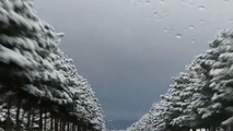 بارش برف و باران در محورهای چند استان
