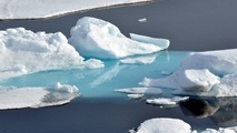 IMO Members Urged to Reduce Shipping’s Black Carbon Emissions