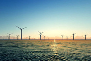  North Sea Boulevard Reopens After TenneT Offshore Wind Cable Installation
