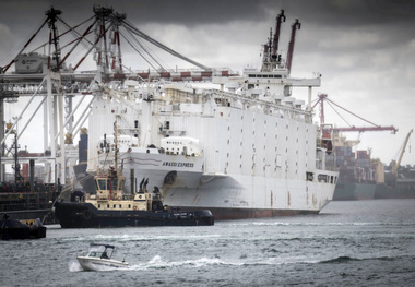 Australian Lawmaker Pushes to End Live Sheep Exports