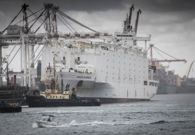 Australian Lawmaker Pushes to End Live Sheep Exports