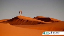 سیر تا پیاز سفر به مسقط با تورهای لحظه آخری