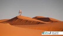 سیر تا پیاز سفر به مسقط با تورهای لحظه آخری