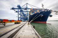  Shahid Rajaee Port Handles Over 36 Million Tons of Cargo in First Half of Year 
