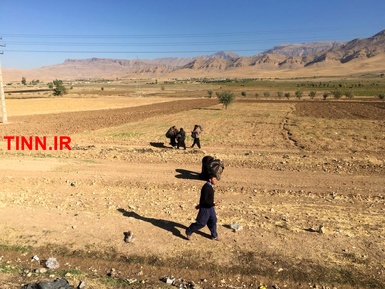 گزارش تین