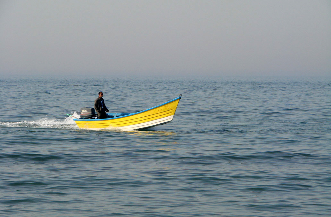 دگرگونی