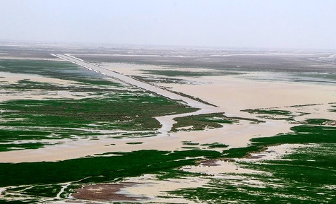 دریاچه هامون 