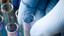 Off-specification sulphur fuels found in Antwerp