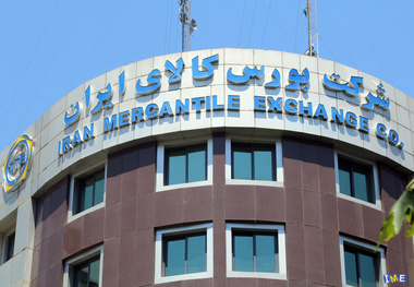 هر کد ملی یک خودرو!