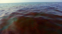 USCG sets safety zone after dielectric fluid spill