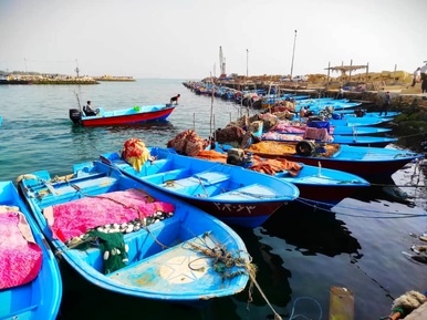 سیراف 6